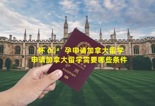 怀 🪴 孕申请加拿大留学 申请加拿大留学需要哪些条件